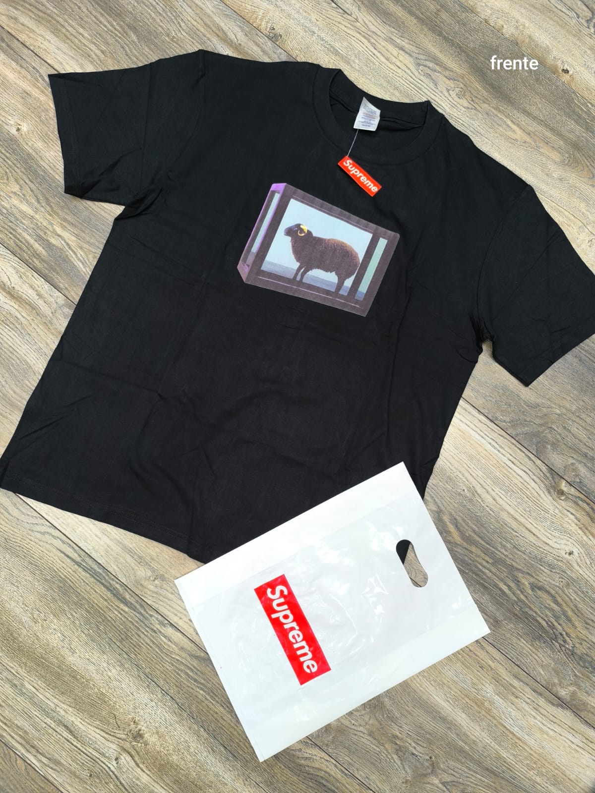 auto draft auto draft